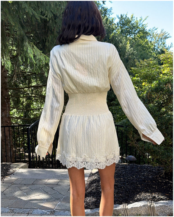 Alexa Button-Down Mini dress