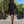 Willow Sweater Dress