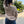 Logan Floral Cardigan