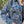 Paisley Embossed Denim Jacket