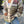 Kensley Knit Cardigan