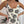 Sevyn Jumpsuit